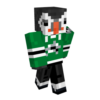 Stars Dallas Minecraft Skin
