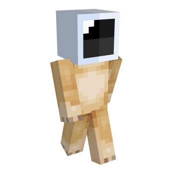 Crypto Minecraft Skin