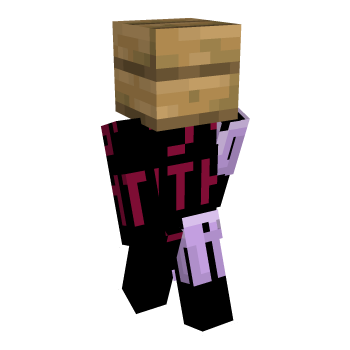 Wood Vanilla Block Minecraft Skin
