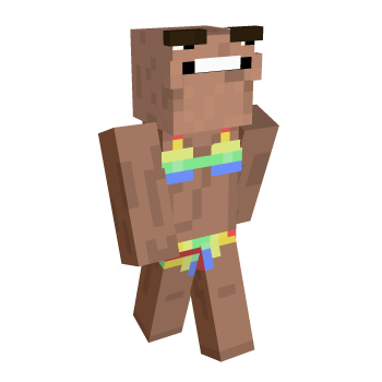 Steve Meme Minecraft Skin