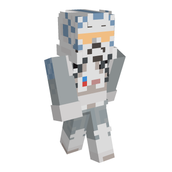 Star Wars Pilot Minecraft Skin
