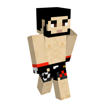 Fighter Minecraft Skin