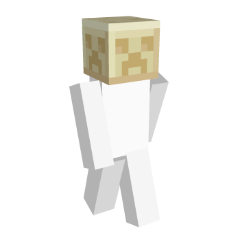 Stone Vanilla Block Minecraft Skin