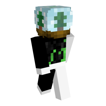 Toy Winter Minecraft Skin
