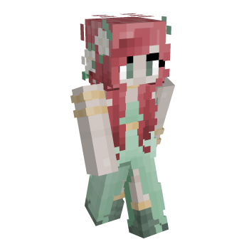 Contest Entry Minecraft Skin
