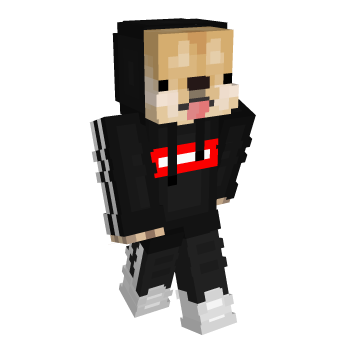 Doge Minecraft Skin