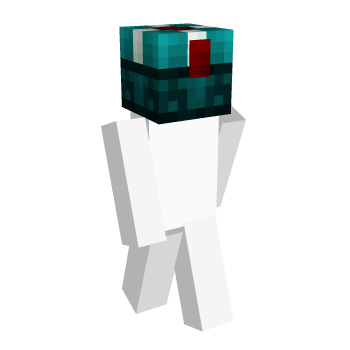 Present Hypixel Skins Minecraft Skin