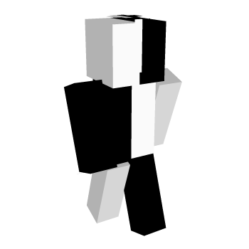 Black White Minecraft Skin