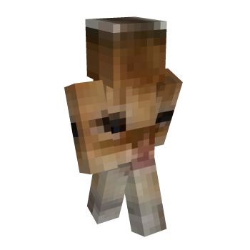 Face Minecraft Skin