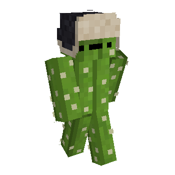 Cactus Hat Minecraft Skin