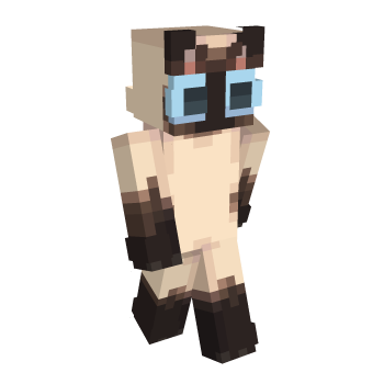 Cat Minecraft Skin