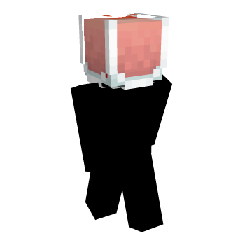 Party Minecraft Skin