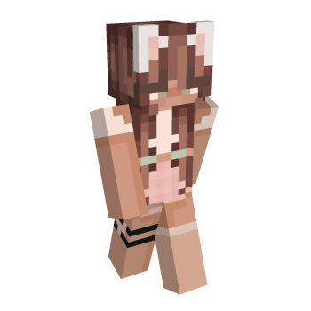 Brown Aesthetic Minecraft Skin