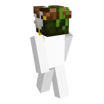 Bird Swamp Minecraft Skin