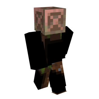 Vanilla Block Inner Layer Block Minecraft Skin