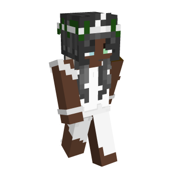Poc Moon Minecraft Skin