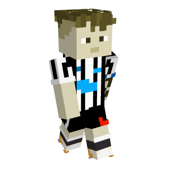 Footballer Newcastle Minecraft Skin