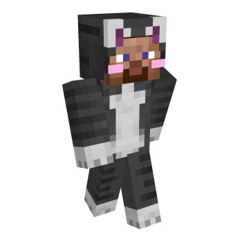 Steve Cat Minecraft Skin