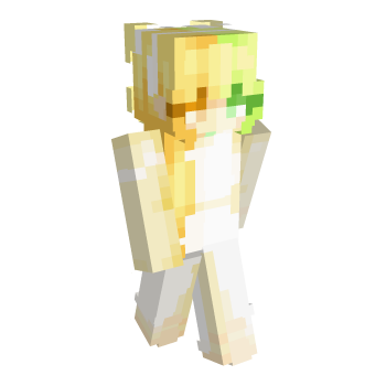 Skirt Long Skirt Minecraft Skin