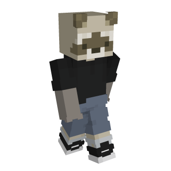 Minecraft Racooon Skin Raccoon Minecraft Skins