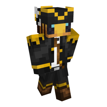 Bee Pirate Minecraft Skin