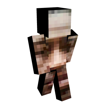 Face Minecraft Skin