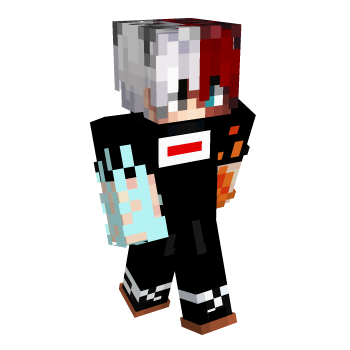 Vans Minecraft Skin