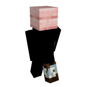 Wood Vanilla Block Minecraft Skin