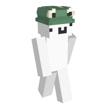 Frog Minecraft Skin