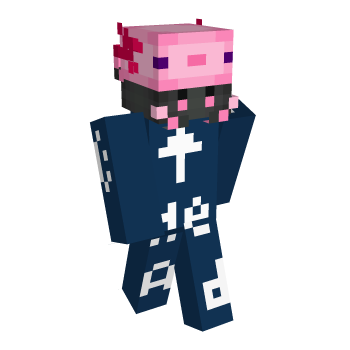 PetPlugin Axolotl Minecraft Skin