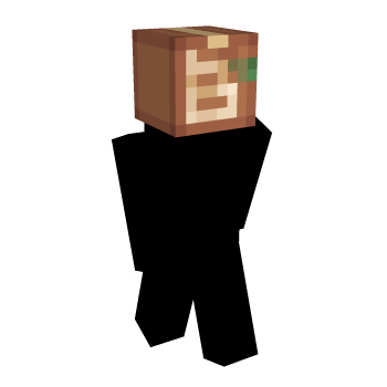 Shipping Inner Layer Block Minecraft Skin