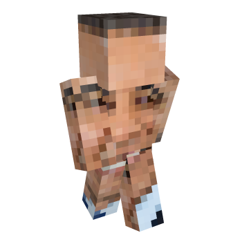 Face Minecraft Skin