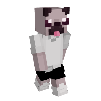 Pug Minecraft Skin
