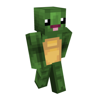 Happy Sad Minecraft Skin