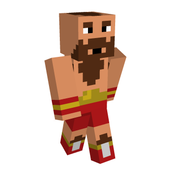 Fighter Street Minecraft Skin