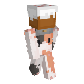 Cake Cat Minecraft Skin