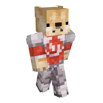 Doge Armor Minecraft Skin