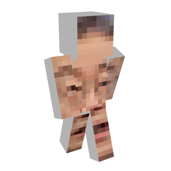 Face Minecraft Skin