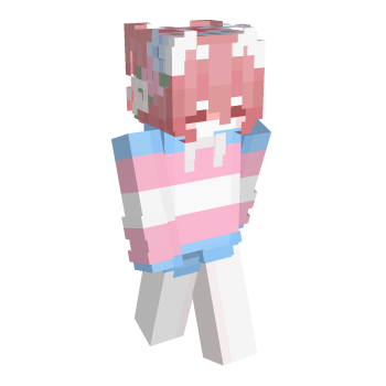 Trans Minecraft Skin