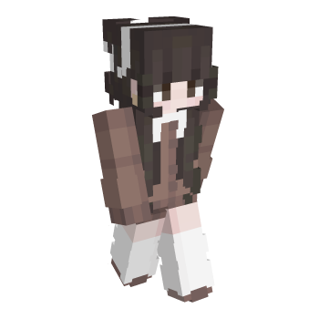 Socks Minecraft Skin