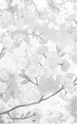 Flower Blossom White Monochrome Photography Cloud Minecraft Cloak
