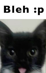 Cat Kitty Screenshot Cute Tongue Minecraft Cloak