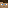 FlintStee1's Minecraft head