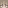 xliz34's Minecraft head