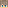cyanncatt's Minecraft head
