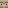 enwyz's Minecraft head