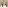 codingmatth's Minecraft head