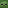 Davyre's Minecraft head