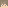 SGTBAER's Minecraft head