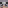 WhyShift's Minecraft head